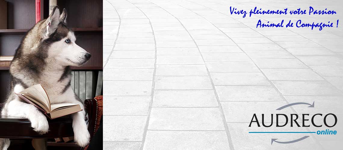 Audreco Formation Animal de Compagnie
