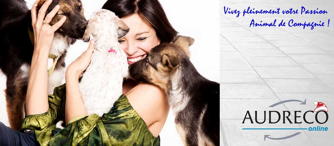 Audreco Formation Toiletteur Canin