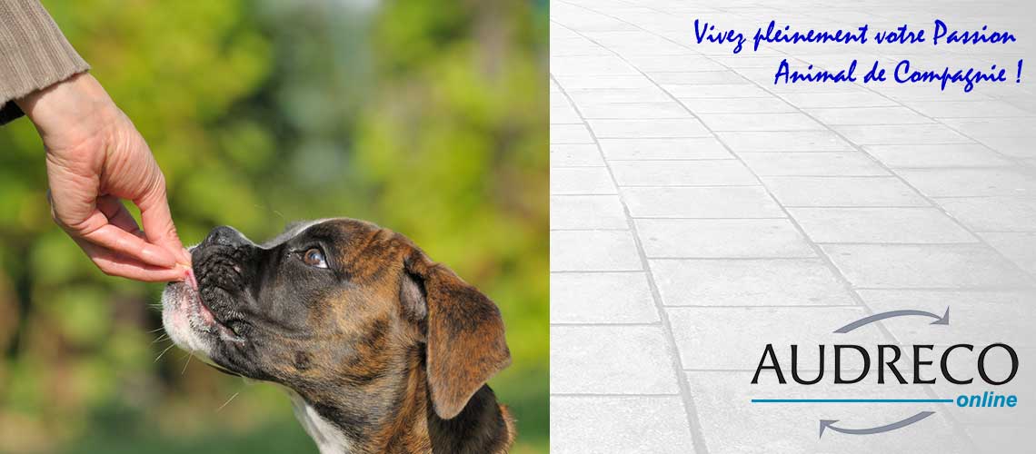 Audreco Formation Animaux