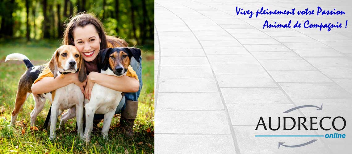 Audreco Formation Toiletteur Canin