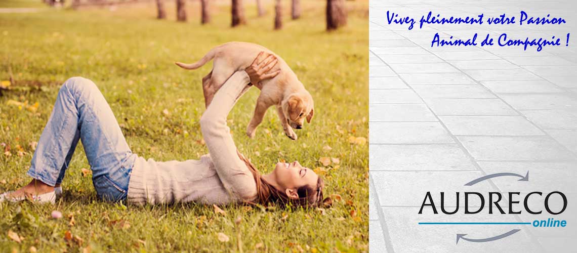 Audreco Formation Educateur Canin