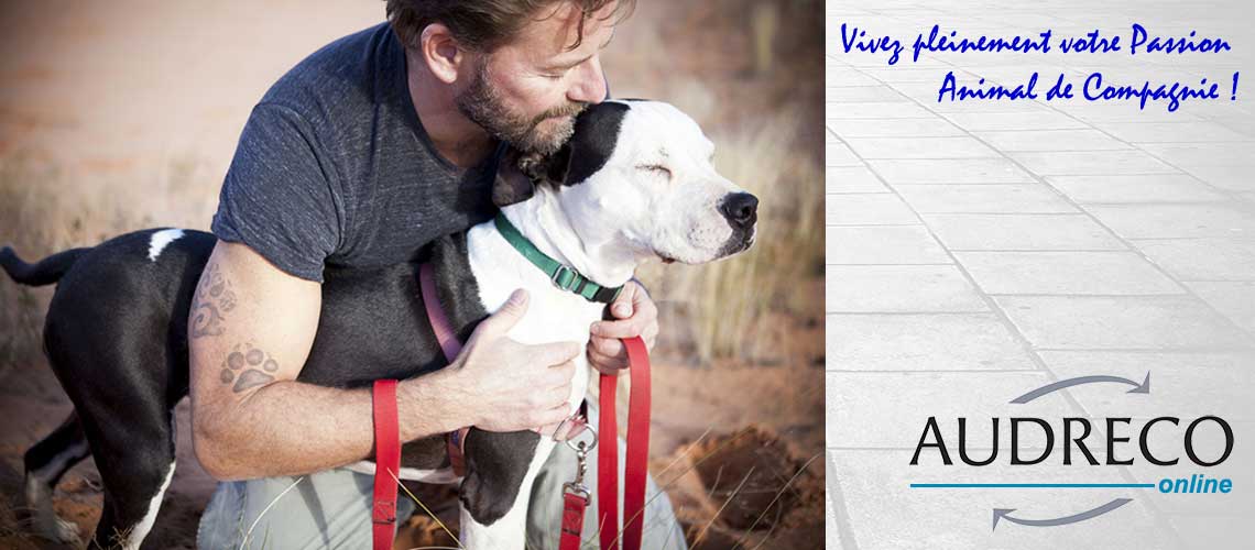 Audreco Formation Toiletteur Canin