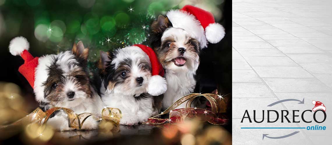 Audreco Formation Animal de Compagnie